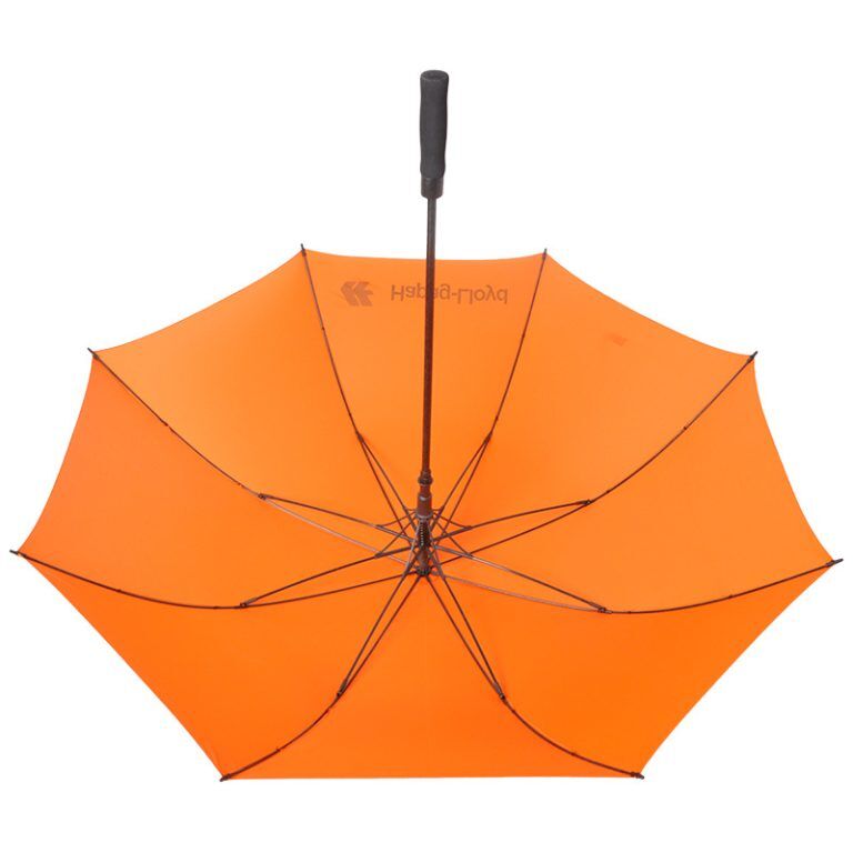 22583626660_1497717928